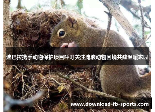 迪巴拉携手动物保护项目呼吁关注流浪动物困境共建温暖家园 迪巴拉携手动物保护项目呼吁关注流浪动物困境共建温暖家园